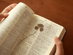 充滿少女心的愛(ài)情小句子帶圖片 能遇見(jiàn)你感覺(jué)就像是得到了上天的眷顧