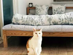 戀愛中的甜蜜溫暖小情緒說說帶圖片 跨越大半個地球與你相見