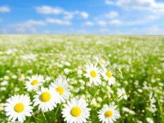 勵志說說圖片素材：你現(xiàn)在所受的苦，日后都將成為你驕傲的資本