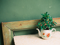 適合發(fā)說說的甜蜜的小情話帶圖片 我有三行情書只想唱給你聽