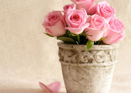 愛情圖片說說大全：我不是溫柔的人，卻為你做盡溫柔的事