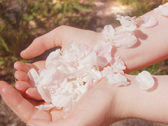 告白時的文藝浪漫情話句子 超浪漫的文藝愛情句子