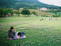2019除夕表白情話合集很浪漫 除夕夜跨年的甜蜜說說句子