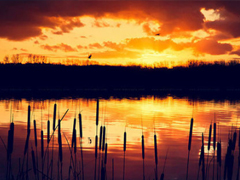 晚安說說勵(lì)志好心情一句大全帶圖片 簡單一句晚安心語勵(lì)志配圖