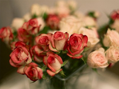 朋友圈個(gè)性說說2019最火爆的帶圖片 對(duì)我好的人請(qǐng)放心不會(huì)把你弄丟的