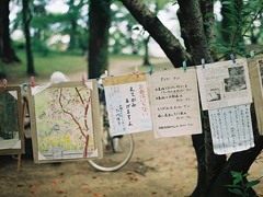 深夜里一個(gè)人心痛的傷感說(shuō)說(shuō)帶圖片 你們九九我八十一難