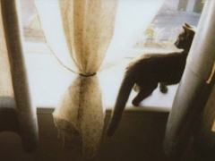 關(guān)于愛(ài)情的有些傷感難過(guò)的說(shuō)說(shuō)帶圖片 遇你之后步步都難走