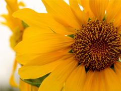 2019經(jīng)典語錄人生感悟 靠天靠地還要靠自己