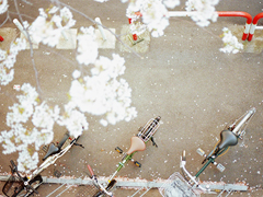 看完哭了的那種憂傷難過的說說 傷感說說配圖