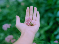 有種淡淡心酸的個(gè)性說說帶圖片 文字控喜歡的文藝個(gè)性說說配圖