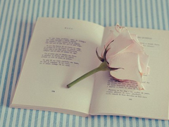 國內國外很經典的電影臺詞經典語錄 關于人生愛情的精辟電影臺詞