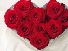 2018七夕情人節(jié)表白語(yǔ)錄超浪漫 很甜很撩人的七夕告白語(yǔ)錄