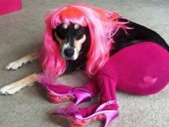 適合社會人的個性說說帶圖片：一巴掌拍醒所有癡心和妄想