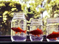 關于青春和成長的適合文藝女生發(fā)說說的句子帶圖片