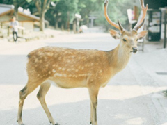 表示無聊的朋友圈說說帶圖片：無聊，是人生的一種正?，F(xiàn)象