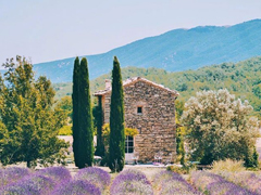 給女生勵(lì)志暖心的句子精選 激勵(lì)人心適合發(fā)朋友圈的句子大全