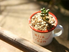 朋友圈早安勵(lì)志句子長(zhǎng)一點(diǎn)的 美好的一天勵(lì)志句子新的開始