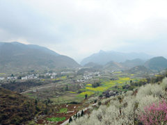 每天一句正能量的句子勵(lì)志向上 全新的元?dú)鉂M滿的勵(lì)志說說