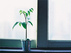 晚安句子大全簡(jiǎn)單正能量 睡覺前致自己的勵(lì)志句子