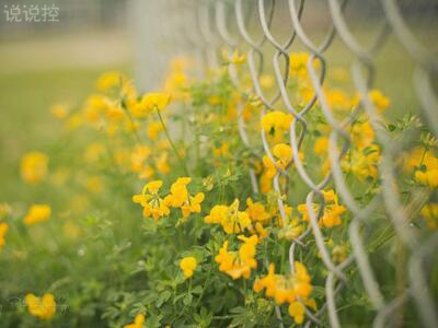 傷感圖片說說：你突然對我這么冷淡，是不是在為別人赴湯蹈火