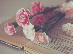 生活很喪的經(jīng)典句子大全2018 一些很喪很絕望的句子短一點(diǎn)