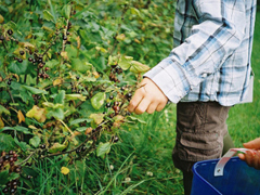 齁死人的情侶間情話合集 抖音最美情話短句精辟好聽