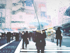 單身一個(gè)人的傷感句子大全 心情低落可以發(fā)朋友圈的傷感句子