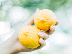 16條適合發(fā)朋友圈的旅行句子配圖 旅行句子表達心情短語最新版