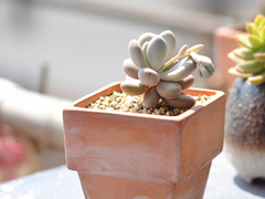 抖音比水還干凈的句子唯美又文藝 遺憾的是從沒被堅定的選擇過