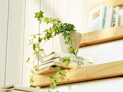 彌漫著淡淡傷感的句子關(guān)于成長和愛情 2018關(guān)于成長和愛情的傷感句子