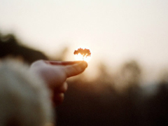 讓對方讀到就覺得心疼的傷感句子 一個人硬撐下去的傷感句子