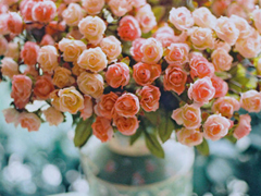 生活中很有哲理的經(jīng)典句子 簡單卻很精辟的句子