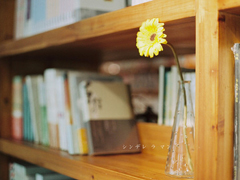 一句話滿滿都是愛情的句子 2018簡單的一句話愛情句子