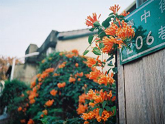 內(nèi)心痛苦煎熬的說說大全 被愛情折磨的傷感說說