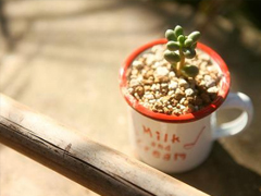 2019最流行的唯美傷感說說 有一個(gè)人總能讓你牽腸掛肚