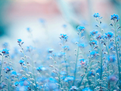 異地戀分手后傷感說說大全 內(nèi)心難受心情崩潰的傷感說說