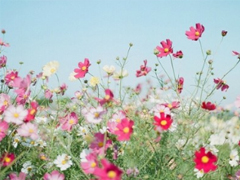 2019新年說說傷感一個(gè)人過 新年感到孤獨(dú)的傷感說說句子