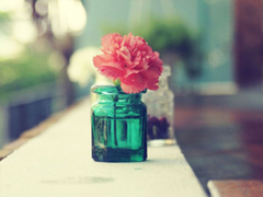 從愛到恨的絕望傷感說(shuō)說(shuō) 徹底死心放棄的一些難過(guò)句子