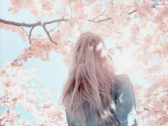 一個人感到孤單落寞的傷感說說 給那些在愛情中受過傷的人