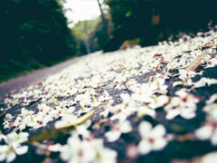 異地戀的心酸傷感說說大全 一天想你八百次的異地戀委屈句子