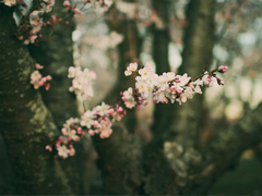 日升日落讓人感到傷感的說說 時(shí)間和愛情帶給我們的憂傷傷感說說