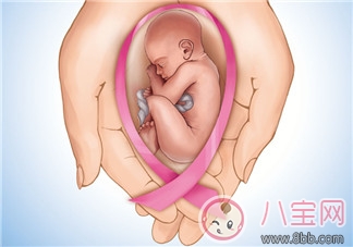 備孕首先應(yīng)該了解什么？宮頸黏液和排卵期是什么？