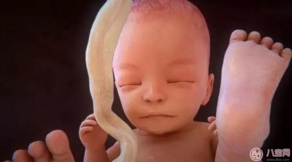 如果生男孩一般提前多久 男孩是不是都提前出生提前幾天 如果生男孩一般提前多久 男孩是不是都提前出生提前幾天