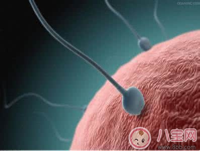 備孕不成功原因多  求助醫(yī)生來幫忙