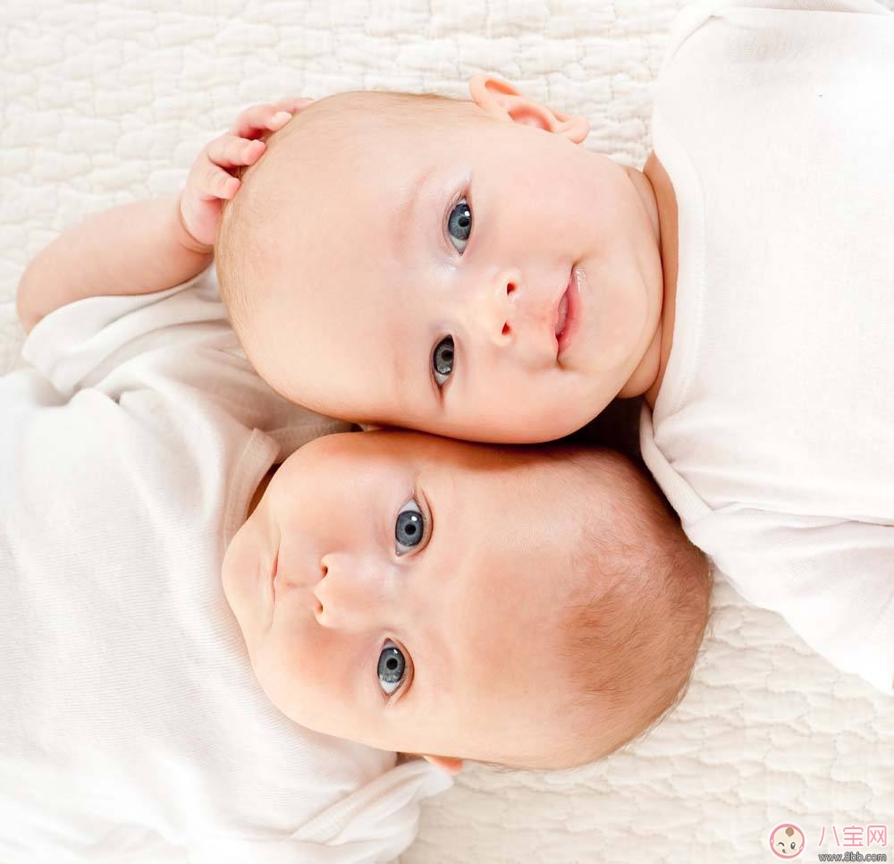 林志穎再添一對雙胞胎兒子  如何容易生雙胞胎