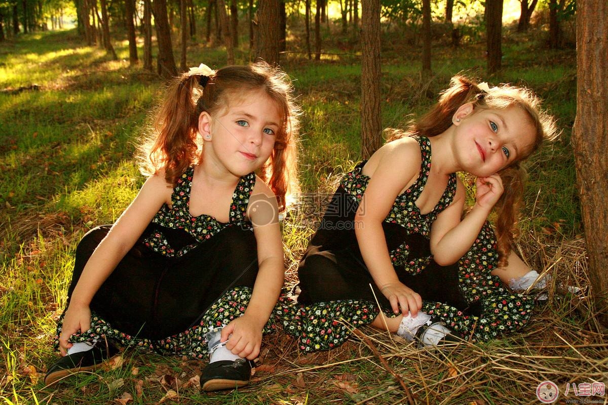 林志穎再添一對雙胞胎兒子  如何容易生雙胞胎