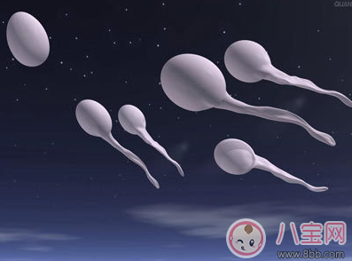 同房后“倒立”就可以懷上嗎 備孕期間有哪些誤區(qū)要注意