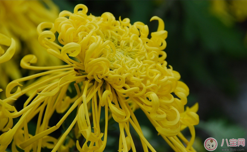 男人有黑眼圈是腎虛嗎 男士去黑眼圈小妙招