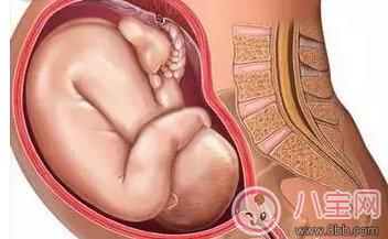 懷孕后那些情況不能順產 有些時候多聽醫(yī)囑準沒錯