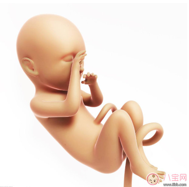胎兒在肚子里哭能感覺到嗎 胎兒在準(zhǔn)媽媽肚子變化